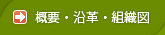 概要と沿革と組織図